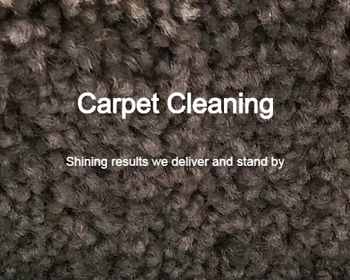 carpet cleaning service in missoula