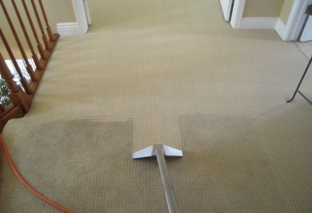 missoula companies carpet cleaning common methods_orig