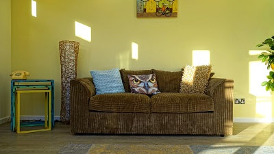 Upholstery cleaning couch